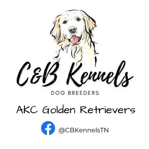 C-B-Kennels-1.jpg